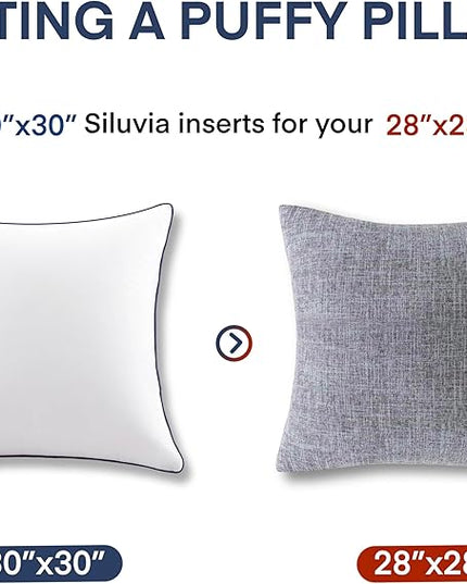 Siluvia 30"x30" Pillow Inserts Set of 2 Square Throw 30 Pillows with 100% Cotton Cover for Sofa, Couch, and Bed - White