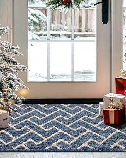 hicorfe Indoor Doormat,Front Back Door Mat Rubber Backing Non Slip Door Mats 20"x31.5" Absorbent Resist Dirt Entrance Doormat Inside Floor Mats for Entryway Washable Low-Profile(Light Blue)
