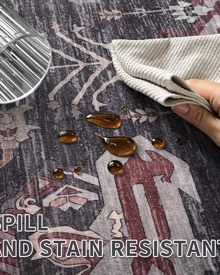 Ciicool Area Rug 5x7ft Washable Rugs for Living Room Non-Slip Indoor Rugs Large Low-Pile Mat Floor Carpet Vintage Rug for Bedroom Dinning Foyer Decor