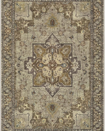 Ciicool Washable Vintage Area Rug, 2x3ft Small Boho Rug, Ultra Soft Rugs for Entryway, Non-Slip Entry Rugs Oriental Low-Pile Indoor Mat Floor Carpet for Entrance Bedroom Kitchen Bathroom Foyer Decor