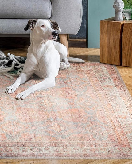 GLN Rugs Traditional Collection - Machine Washable Area Rug, Traditional Washable, Non Slip, Low Pile Chenille Rug, Living Room, Bedroom, Kitchen Rug (2'6"x10' Multicolor)