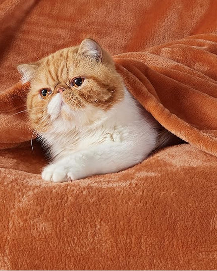Bedsure GentleSoft Fleece Throw XL Blanket Burnt Orange - 300GSM Soft Lightweight Plush Cozy Blankets for Bed, Sofa, Couch, Travel, Camping, 50x70 inches