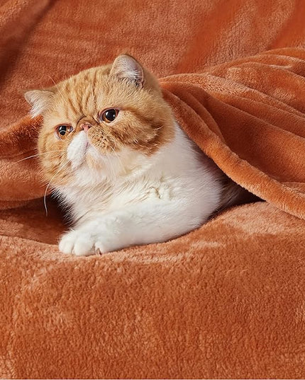 Bedsure GentleSoft Fleece Blanket Twin Size Burnt Orange - 300GSM Lightweight Plush Fuzzy Cozy Soft Warm Blanket for Bed, Sofa, Couch, Travel, Camping, 60x80 inches