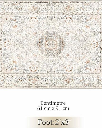 Small Rugs 2x3,Boho Rug for Entryway Bathroom Bedroom Kitchen Entrance Doormat,Vintage Bohemian Distressed Washable Accent Floor Throw Carpet Non Slip,Beige