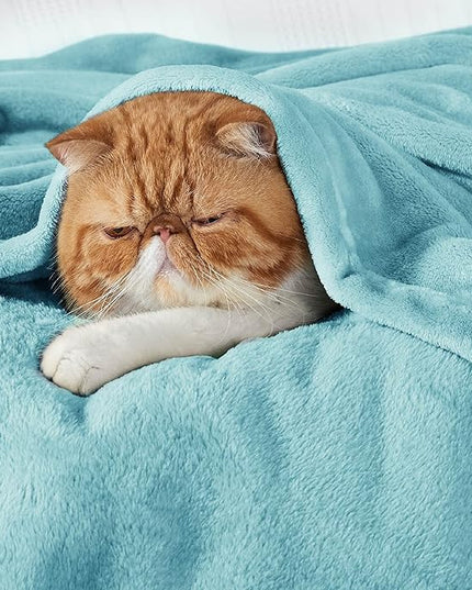 Bedsure GentleSoft Fleece Bed Blankets Queen Size River Blue - Soft Lightweight Plush Fuzzy Cozy Luxury Blanket Microfiber, 90x90 inches