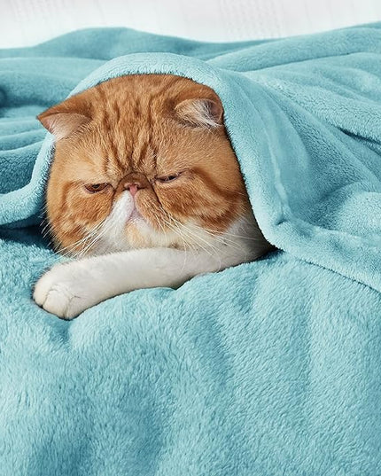 Bedsure GentleSoft Fleece Throw Blanket for Couch River Blue - Lightweight Plush Fuzzy Cozy Soft Blankets and Throws for Sofa, 50x60 inches