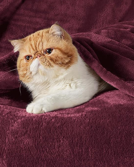 Bedsure GentleSoft Fleece Blanket Twin Size Burgundy - 300GSM Lightweight Plush Fuzzy Cozy Soft Warm Blanket for Bed, Sofa, Couch, Travel, Camping, 60x80 inches