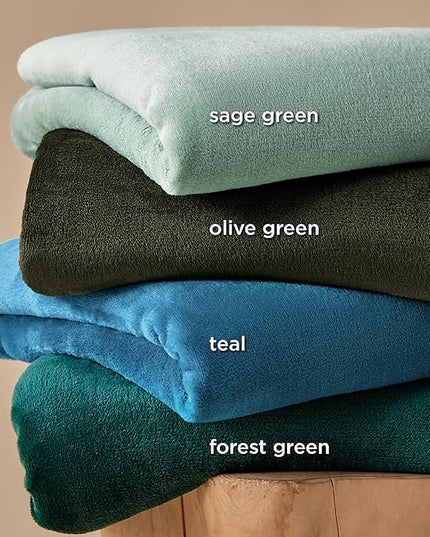Bedsure GentleSoft Sage Green Fleece Blankets Queen Size - 280GSM Soft Lightweight Plush Cozy Blanket for Bed, Sofa, Couch, Travel, Camping