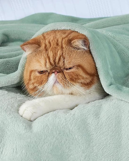 Bedsure GentleSoft Sage Green Fleece Throw Blanket - 300GSM Soft Lightweight Plush Cozy Blankets for Bed, Sofa, Couch, Travel, Camping