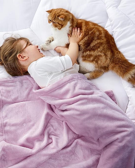 Bedsure GentleSoft Bedding Fleece Blanket for Girls and Boys - Soft Cozy Cute Small Throw Blankets for Travel, 43x55 Inches, Lilac