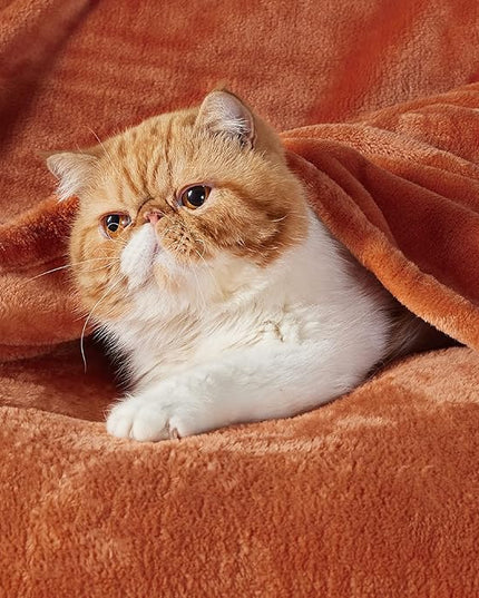 Bedsure GentleSoft Twin XL Fleece Blanket Dorm Bedding - Lightweight Soft Cozy Blankets for Bed, Sofa, Couch, Travel, Camping, Burnt Orange, 66"x90"