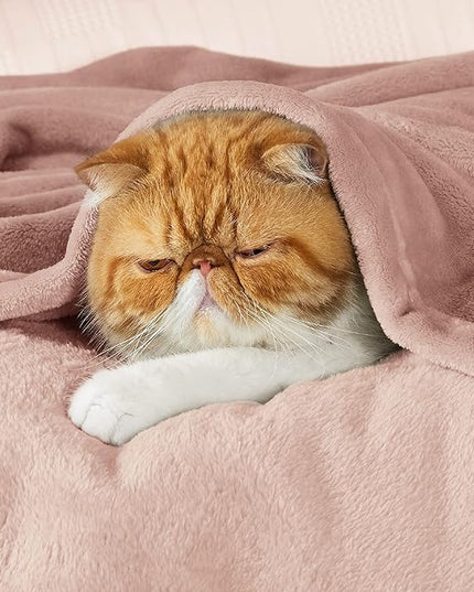 Bedsure GentleSoft Fleece Throw Blanket Dusty Pink - 300GSM Blankets for Couch, Sofa, Bed, Soft Lightweight Plush Cozy Throws for Toddlers, 50x60 inches