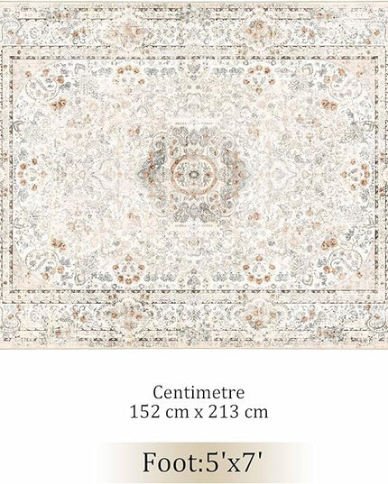 5x7 Area Rugs Washable,Boho Rug for Living Room Bedroom Kitchen,Large Vintage Bohemian Distressed Carpet Non Slip,Beige