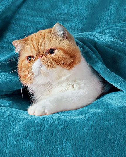Bedsure GentleSoft Fleece Blanket Twin Size Teal - 300GSM Lightweight Plush Fuzzy Cozy Soft Warm Blanket for Bed, Sofa, Couch, Travel, Camping, 60x80 inches