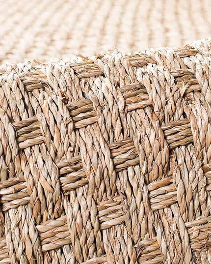 SAFAVIEH Area Rug 10' Square - Natural Fiber Collection - Large - Natural & Dark Grey, Seagrass, Basketweave Pattern with Border (NF114Q)