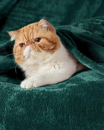 Bedsure GentleSoft Fleece Blanket Twin Size Emerald Green - 300GSM Lightweight Plush Fuzzy Cozy Soft Warm Blanket for Bed, Sofa, Couch, Travel, Camping, 60x80 inches