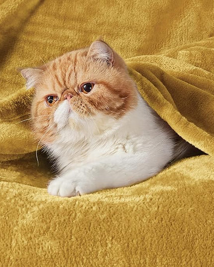 Bedsure GentleSoft Twin XL Fleece Blanket Dorm Bedding - Lightweight Soft Cozy Blankets for Bed, Sofa, Couch, Travel, Camping, Yellow, 66"x90"