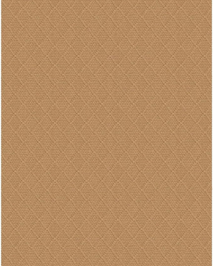 KOZYFLY Washable Entryway Rug 3x5 Ft Area Rugs Cotton Rubber Backed Throw Rugs Indoor Door Mat Floor Carpet for Front Entrance Bathroom Kitchen Living Room Kitchen Rugs Braided, Warm Tan
