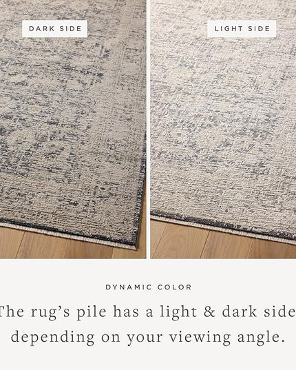 Loloi Amber Lewis Alie Collection ALE-05 Charcoal/Beige 2'-7" x 7'-9", .13" Pile Height, Runner Rug