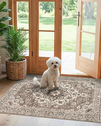 Washable Entryway 3x4 Rug - Area Rugs for Kitchen Bathroom Non-Slip Ultra-Thin Indoor Door Mat Indoor Entrance - Stain Resistant Small Throw Carpet (Beige, 3X4)