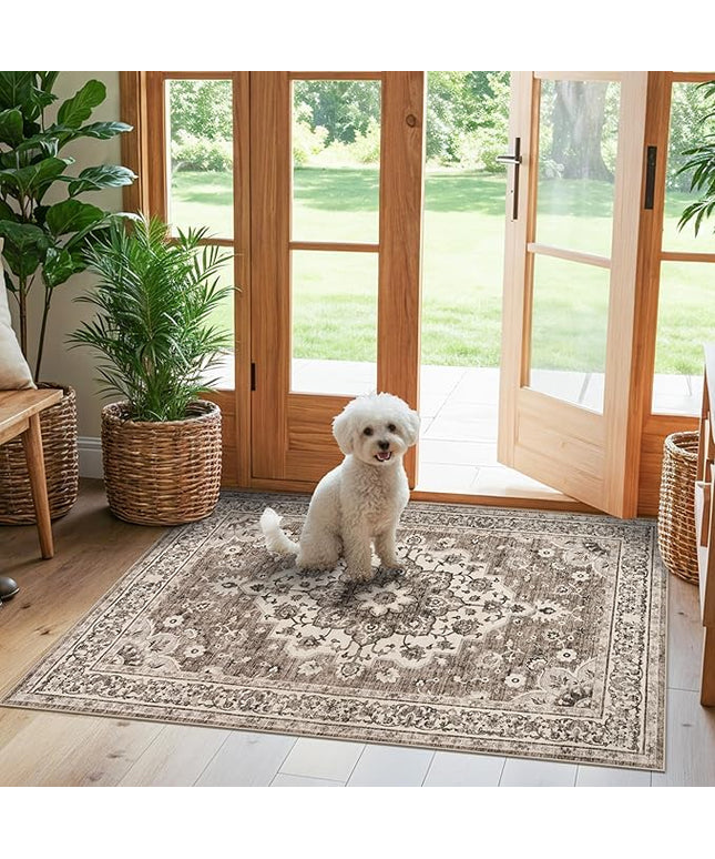Washable Entryway 3x4 Rug - Area Rugs for Kitchen Bathroom Non-Slip Ultra-Thin Indoor Door Mat Indoor Entrance - Stain Resistant Small Throw Carpet (Beige, 3X4)