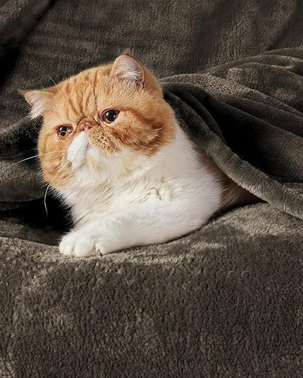 Bedsure GentleSoft Fleece Throw Blanket Brown - 300GSM Blankets for Couch, Sofa, Bed, Soft Lightweight Plush Cozy Throws for Toddlers, 50x60 inches