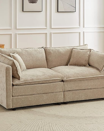 Modular Sectional Sofa, 77 Inch Rectangle Shaped Couch Set, 2-Seater Comfy Cloud Couches for Living Room Apartment, Coffee