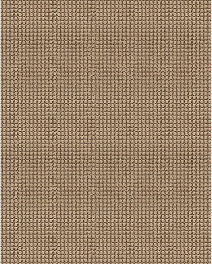 KOZYFLY Indoor Door Mat 2x3 ft Small Area Rugs Washable Front Door Mat Non Slip Rubber Backed Entryway Rug Cotton Entrance Doormat for Front Porch Bathroom Kitchen Bedroom, Tan/Orange/Brown
