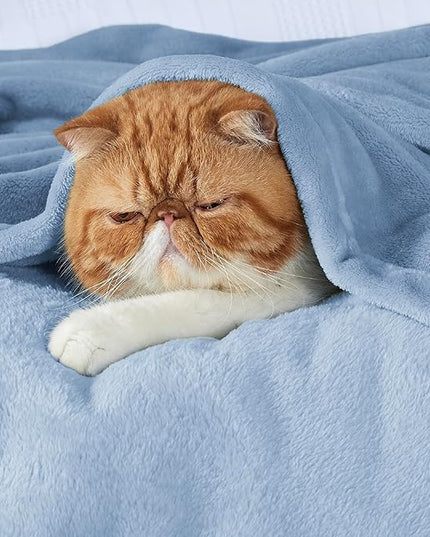 Bedsure GentleSoft Fleece Bed Blankets Queen Size Light Blue - Soft Lightweight Plush Fuzzy Cozy Luxury Blanket Microfiber, 90x90 inches