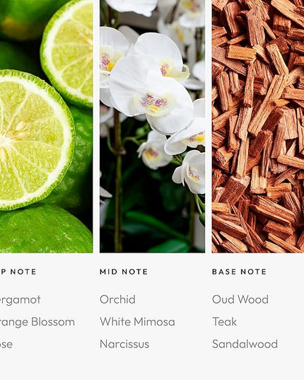 Aroma360 | Disney - A Whole New World Fragrance Oil Blend | Disney Princess Jasmine | Luxury Essential Oil Diffuser | Aromatherapy Scent Diffuser Oil | Bergamot Orange Blossom Rose 1.7 fl oz 50 mL