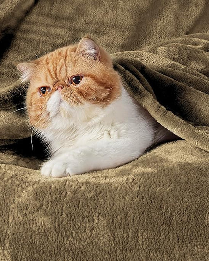 Bedsure GentleSoft Fleece Throw Blanket Camel - 300GSM Blankets for Couch, Sofa, Bed, Soft Lightweight Plush Cozy Throws for Toddlers, 50x60 inches