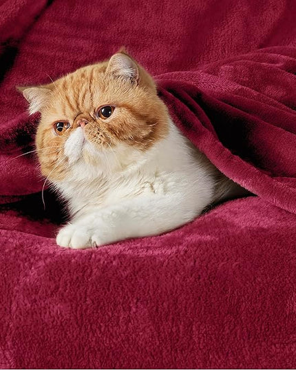 Flannel Fleece Luxury Blanket Red Queen(90"x90") Size Lightweight Cozy Plush Microfiber Solid Blanket by Bedsure