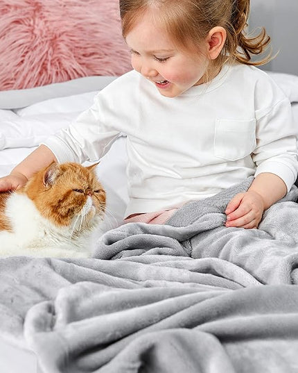Bedsure GentleSoft Bedding Fleece Blanket for Girls and Boys - Soft Cozy Cute Small Throw Blankets for Travel, 43x55 Inches, Light Grey